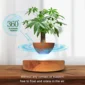 A plant is floating above a wooden base with a blue diagram showing 360-degree automatic rotation. Text below states: "Without any contact or support, free to float and rotate in the air.
